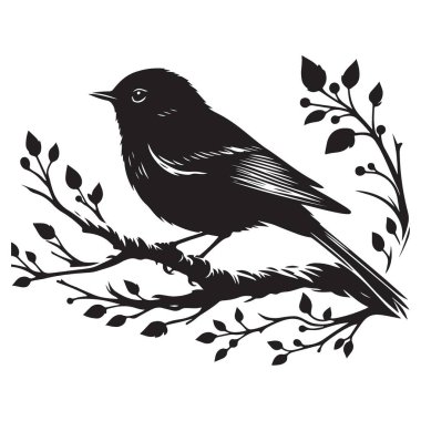 Doğaya Aşıklar İçin Dal Vektör Sanatında Kuşun Silueti