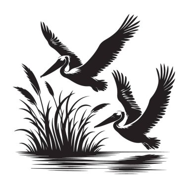 Siluet Uçan Pelikan Vektör Sanatı Kıyı Kuşu Çizimi Tasarımı