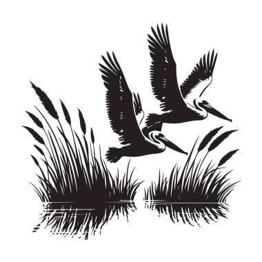 Pelikanlar Su Üzerinden Alçaktan Uçuyor Siluet Vektörü ResimleriName