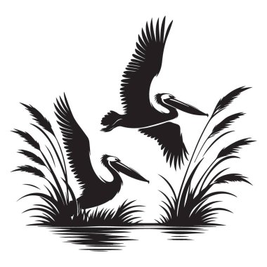 Marsh Siluet Vektör Tasarım Grafiğinde Zarif Pelikanlar