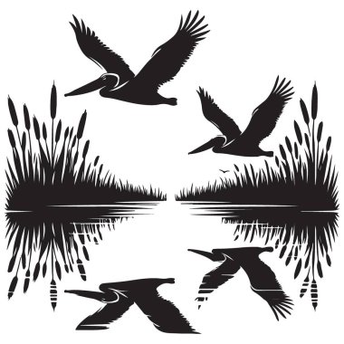 Suyun Üzerinde Uçan Pelikan Siluet Vektör Resmetme Grafik Tasarımı