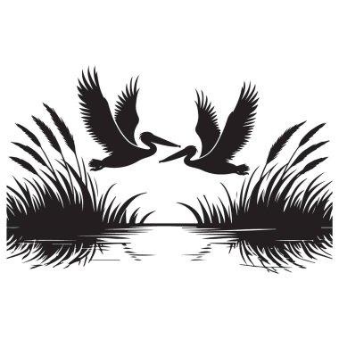 Pelikan Silueti Çizimi İki Pelikan Sakin Suların Üzerinde Uçuyor