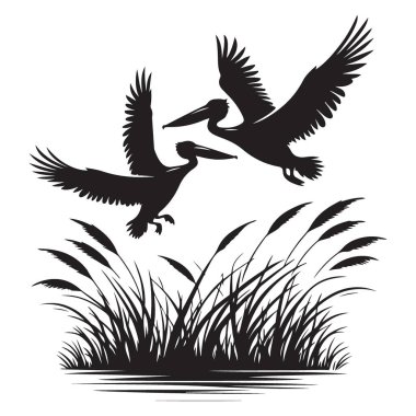 Pelikan Silueti Vektör Resimli Kuşlar Bataklık üzerinde uçuyor