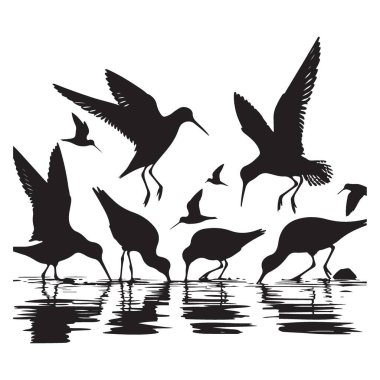 Su Resimlerinden Birds Silhouette Vahşi Yaşam Güzellik Çizimi