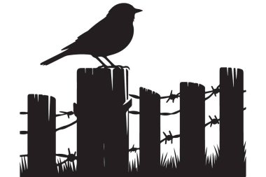 Fence Siluet Üzerinde Kuş Minimalist Biçim Vektör Grafik Sanatı