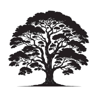 Peyzaj Tasarımı Elemanı için Ayrıntılı Siluet Ağacı Resimleme Grafiği