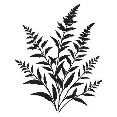 Botanik Bitkisi Silüeti Vektör İllüstrasyon Dekoratif Çiçek Elemanı