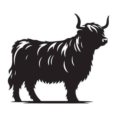 Görkemli Highland Sığırları Çiftlik ve Doğa için Görüntü