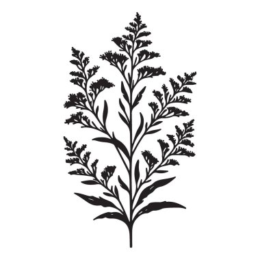 Detaylı siluette çiçekli bitki vektör görüntüsü
