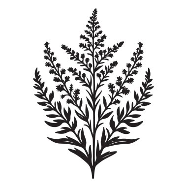 Dekorasyon için Bitki Vektörü İllüstrasyonunun Ayrıntılı Şubesi
