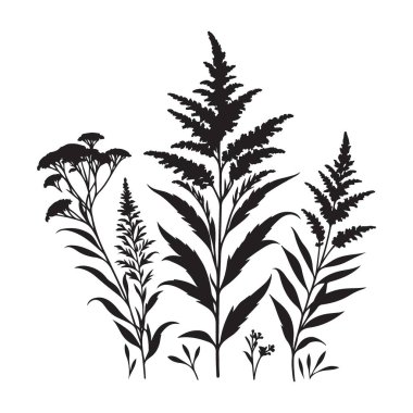 Çeşitli Bitki Silueti Vektör Koleksiyonu Botanik Çizim Tasarımı
