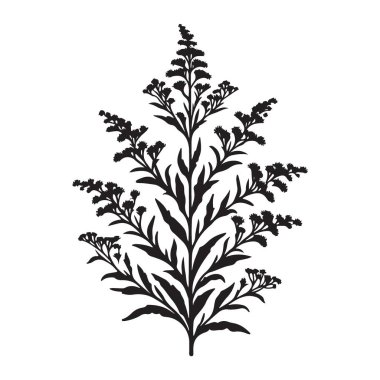 Hassas Çiçek Şubesi Vektörü Grafik Sanat Çizimi Tasarımı