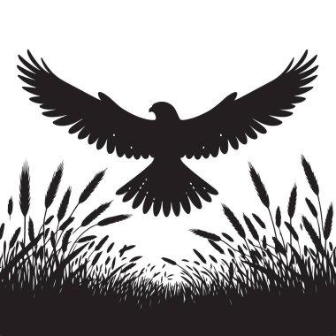 Görkemli Kara Şahin Silueti Altın Buğday Tarlası Sanatında Yükseliyor