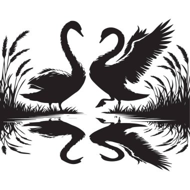 Siluet Zarif Kuğular Yansıma Vektörü Resimleri Serene Kuş Tasarımı