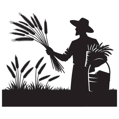 Siluet Çiftçisi Buğday Tarlaları Vektör Resmetme Grafik Sanatı Topluyor