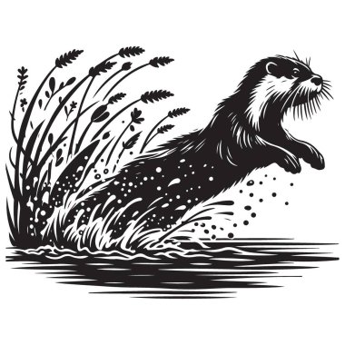Siluet Susamuru Sıçrayan Su Resimleri Vektör Vahşi Yaşam Tasarımı