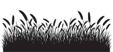 Peyzaj Grafikleri için Vahşi Çimen Vektörü Görüntü Çizimi
