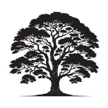 Peyzaj Tasarımı Elemanı için Ayrıntılı Siluet Ağacı Resimleme Grafiği