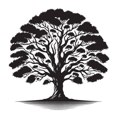 Doğa için Ayrıntılı Siluet Ağacı Vektör İllüstrasyonu İlham Veren Tasarımlar