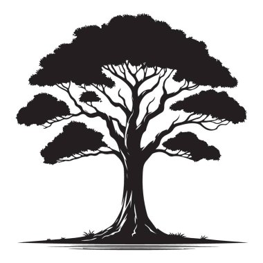 Görkemli Akasya Ağacı Silüeti Vektör Resmetme Grafiksel Elementi