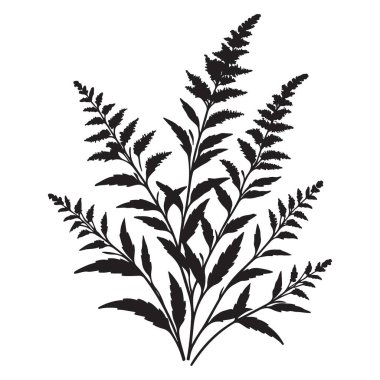 Botanik Bitkisi Silüeti Vektör İllüstrasyon Dekoratif Çiçek Elemanı