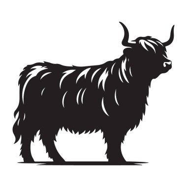 Görkemli Highland Sığırları Çiftlik ve Doğa için Görüntü