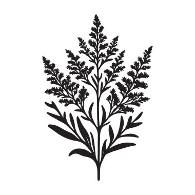 Botanik Tasarımları İçin Zarif Altın Hanedan Çiçeği İllüstrasyonu