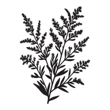 Leaves Siluet Vektör İllüstrasyon Tasarımı 'nın Hassas Şubesi