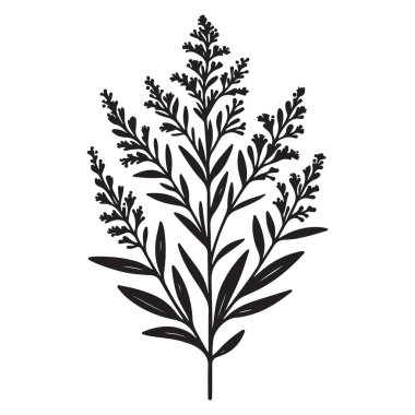 Çiçek ve Doğa Tasarımları İçin Zarif Altın Hanedan Çiçeği İllüstrasyonu