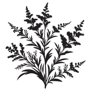 Hassas Bitki Silüeti Vektör El Sanatları ve Dekorasyon için Çiçek Tasarımı