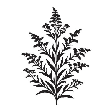 Hassas Çiçek Şubesi Vektörü Grafik Sanat Çizimi Tasarımı