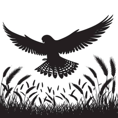 Siluet şahini buğday tarlası üzerinde uçan illüstrasyon doğa sahnesi