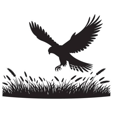 Grassy Field Çizim Vektörüne Bir Kartal İnişinin Silueti