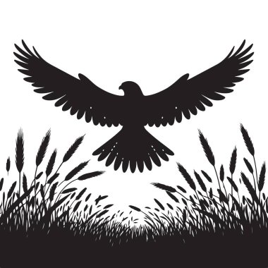 Görkemli Kara Şahin Silueti Altın Buğday Tarlası Sanatında Yükseliyor