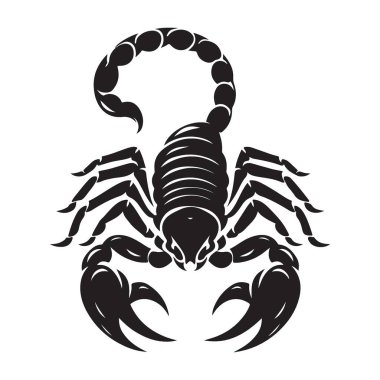 Zodiac İmza Tasarımı Elementi için Detaylı Akrep Çizim Vektörü