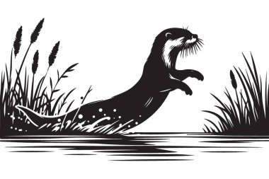 Sazlıklar Arasındaki Sudan Zıplayan Oyuncu Su Samuru Görüntüsü