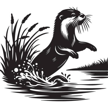 Oyuncu Su Samuru Görünümü Vahşi Yaşam Tasarımına Atlama