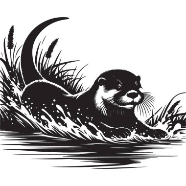 Neşeli Nehir Samuru Silueti Su Sıçratan Su Doğal yaşam alanının tadını çıkarıyor