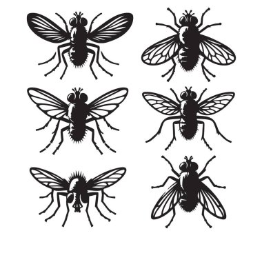 Bilim Eğitimi İçin Sinek Koleksiyonunun Vektör Silueti Resimleri