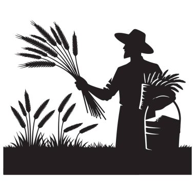 Siluet Çiftçisi Buğday Tarlaları Vektör Resmetme Grafik Sanatı Topluyor