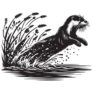 Siluet Susamuru Sıçrayan Su Resimleri Vektör Vahşi Yaşam Tasarımı