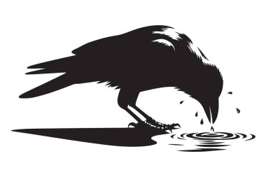 Akıllı Karga İçen Su Çizimi Bir Siluet Vektörü İndirme
