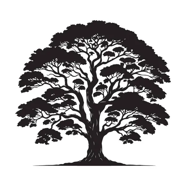 Peyzaj Tasarımı Elemanı için Ayrıntılı Siluet Ağacı Resimleme Grafiği