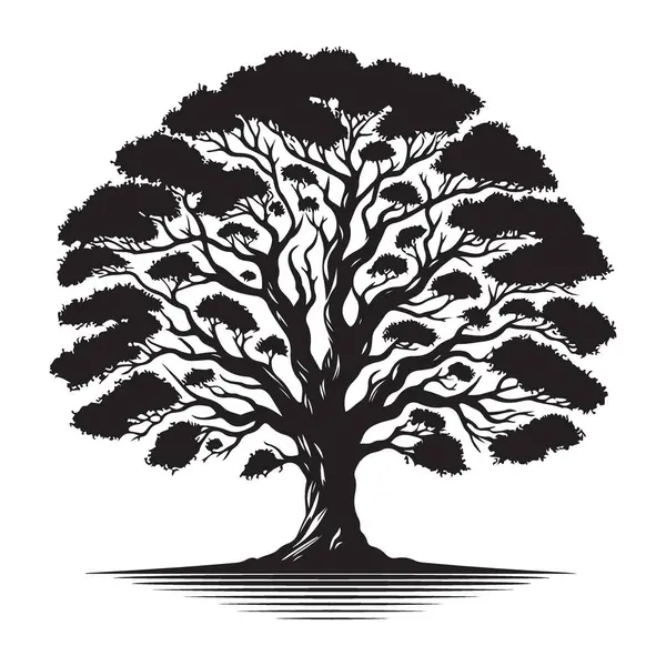 Doğa için Ayrıntılı Siluet Ağacı Vektör İllüstrasyonu İlham Veren Tasarımlar