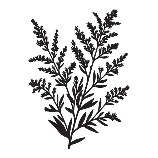 Leaves Siluet Vektör İllüstrasyon Tasarımı 'nın Hassas Şubesi