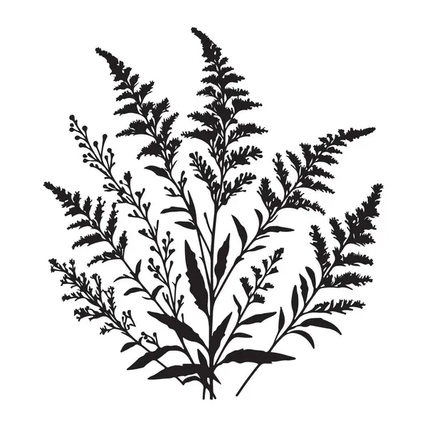 Vahşi Altın Çicek Buketi Silueti Botanik Vektör Çizimi