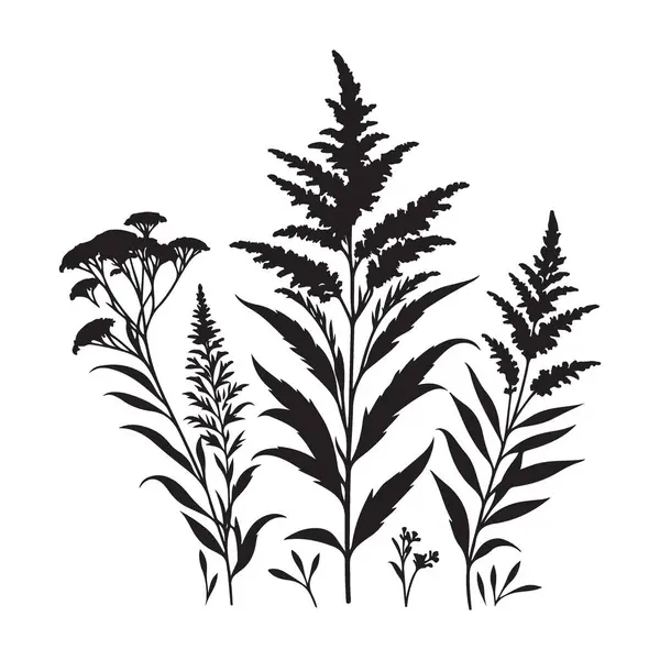 Çeşitli Bitki Silueti Vektör Koleksiyonu Botanik Çizim Tasarımı