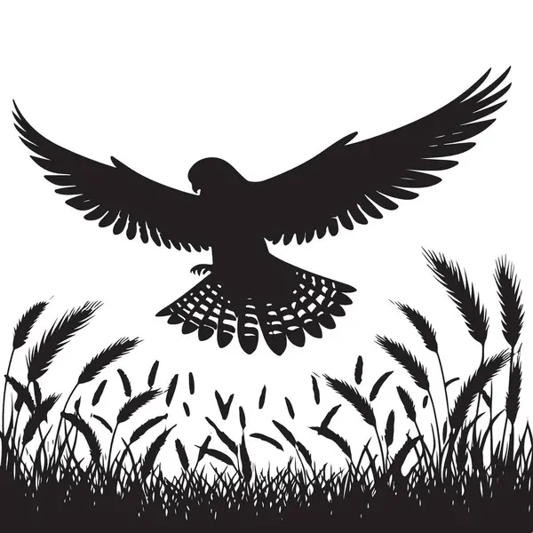 Siluet şahini buğday tarlası üzerinde uçan illüstrasyon doğa sahnesi