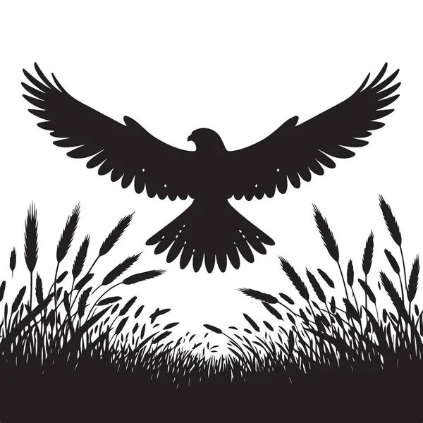 Görkemli Kara Şahin Silueti Altın Buğday Tarlası Sanatında Yükseliyor