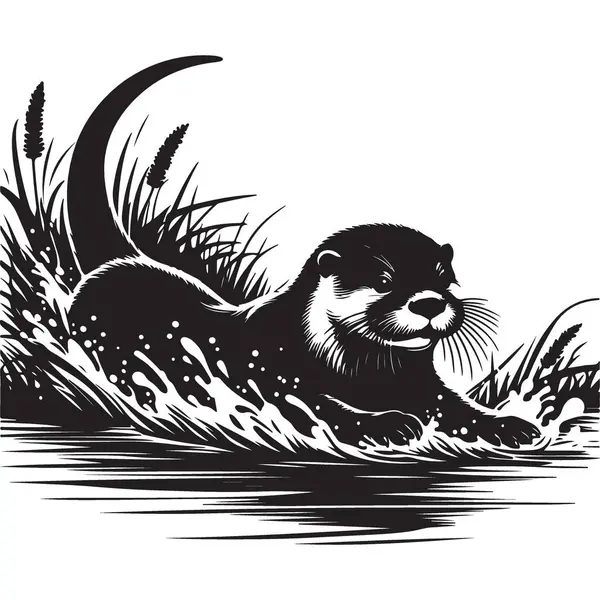 Neşeli Nehir Samuru Silueti Su Sıçratan Su Doğal yaşam alanının tadını çıkarıyor